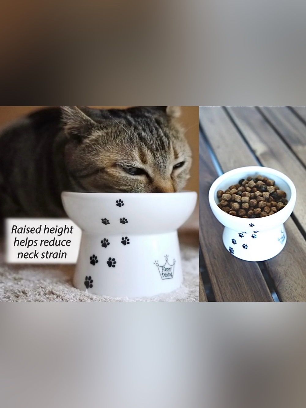 🐾 NEW Necoichi Elevated White Porcelain Cat Bowl with Black Paw Print | 1 Cup